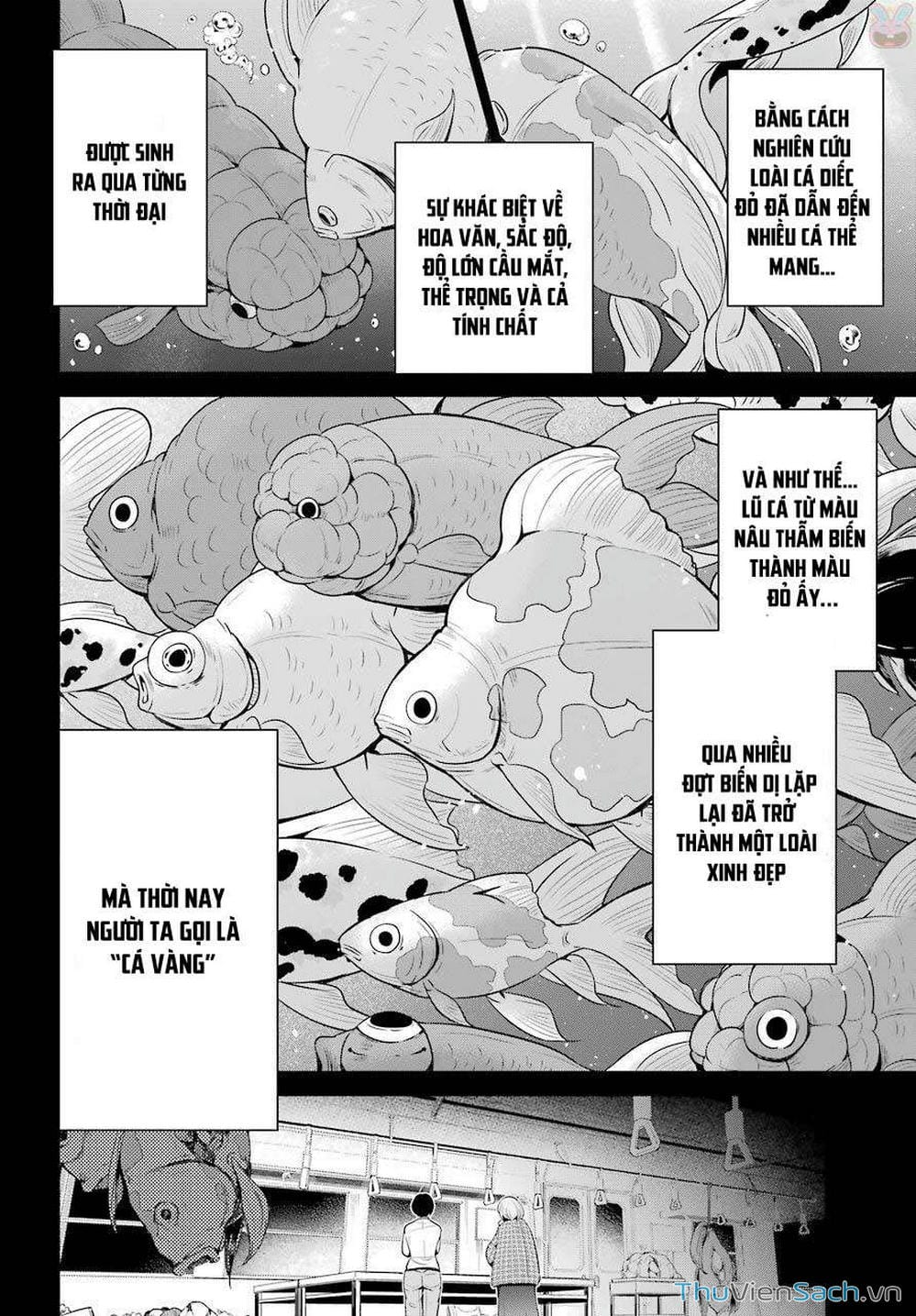 Truyện Tranh Cá Vàng Sát Thủ - Shibuya Kingyo trang 4