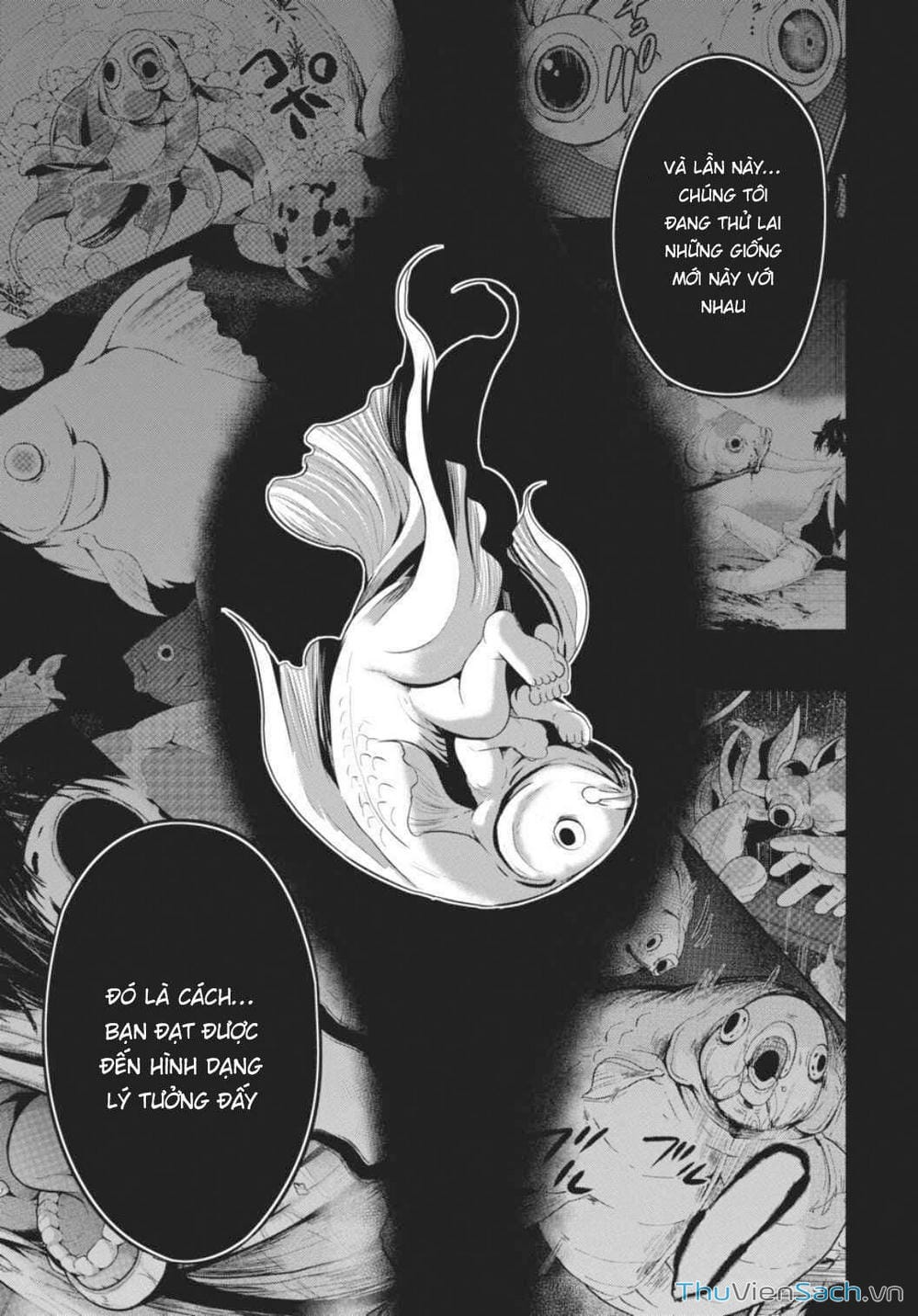 Truyện Tranh Cá Vàng Sát Thủ - Shibuya Kingyo trang 4