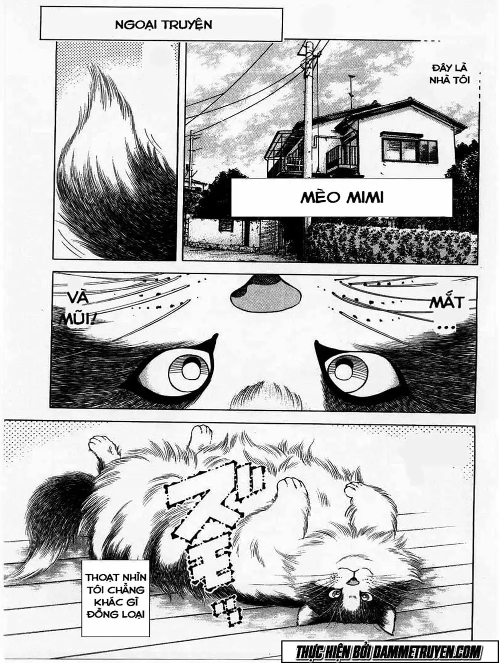 Truyện Tranh Đại Ca Đi Học Judo - Shin Kotaro Makaritoru! Juudouhen trang 5