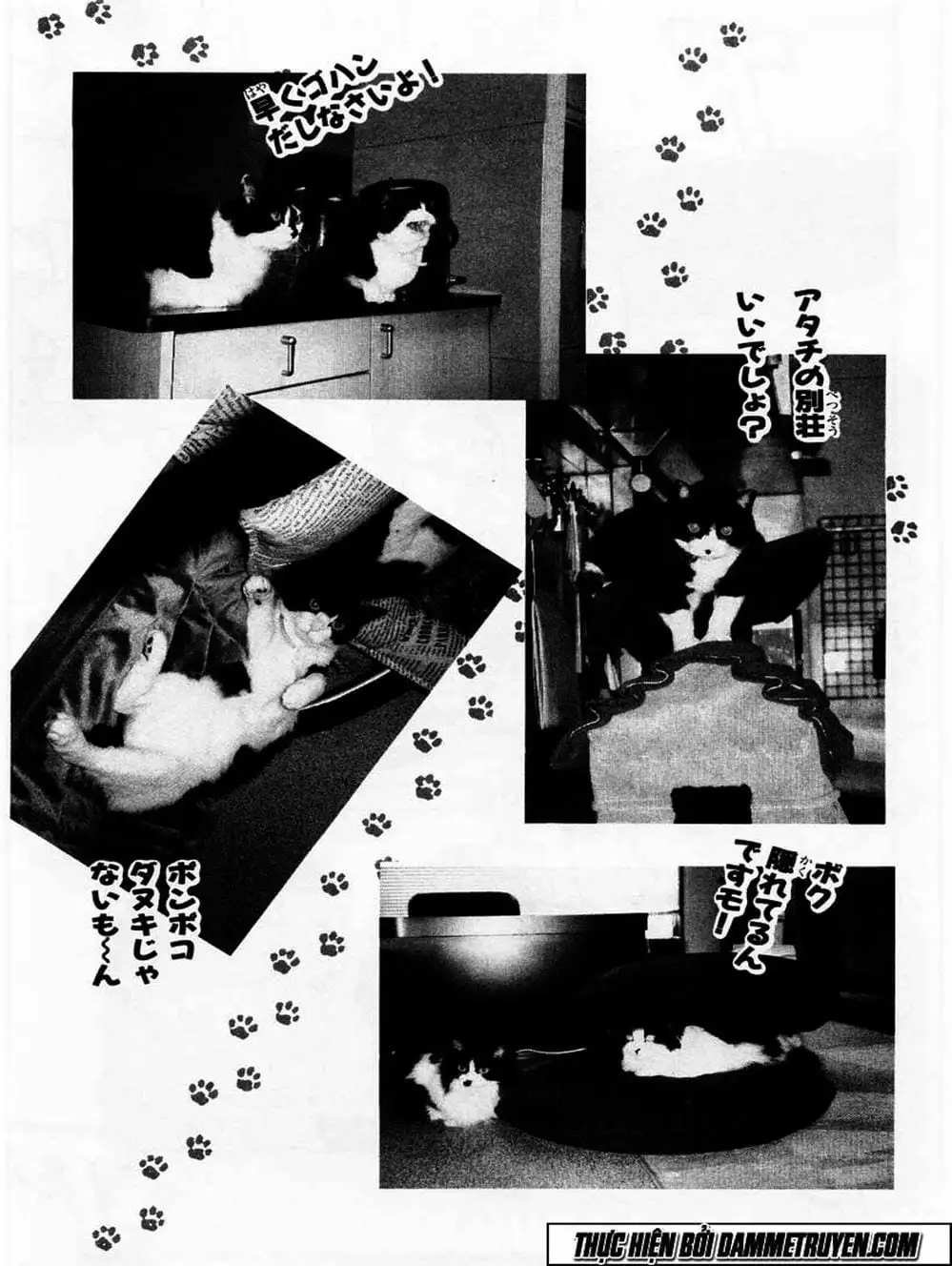 Truyện Tranh Đại Ca Đi Học Judo - Shin Kotaro Makaritoru! Juudouhen trang 5