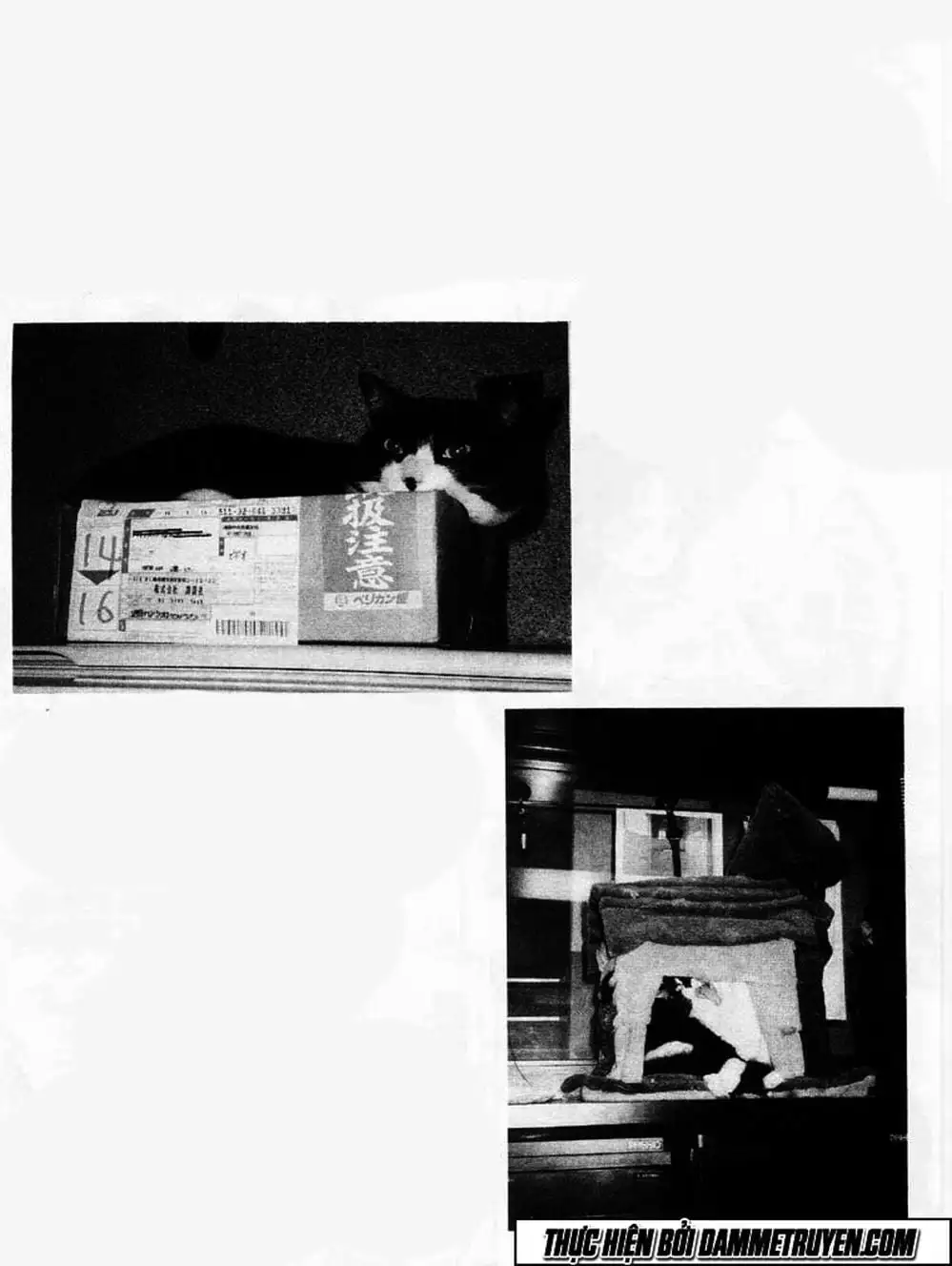 Truyện Tranh Đại Ca Đi Học Judo - Shin Kotaro Makaritoru! Juudouhen trang 5