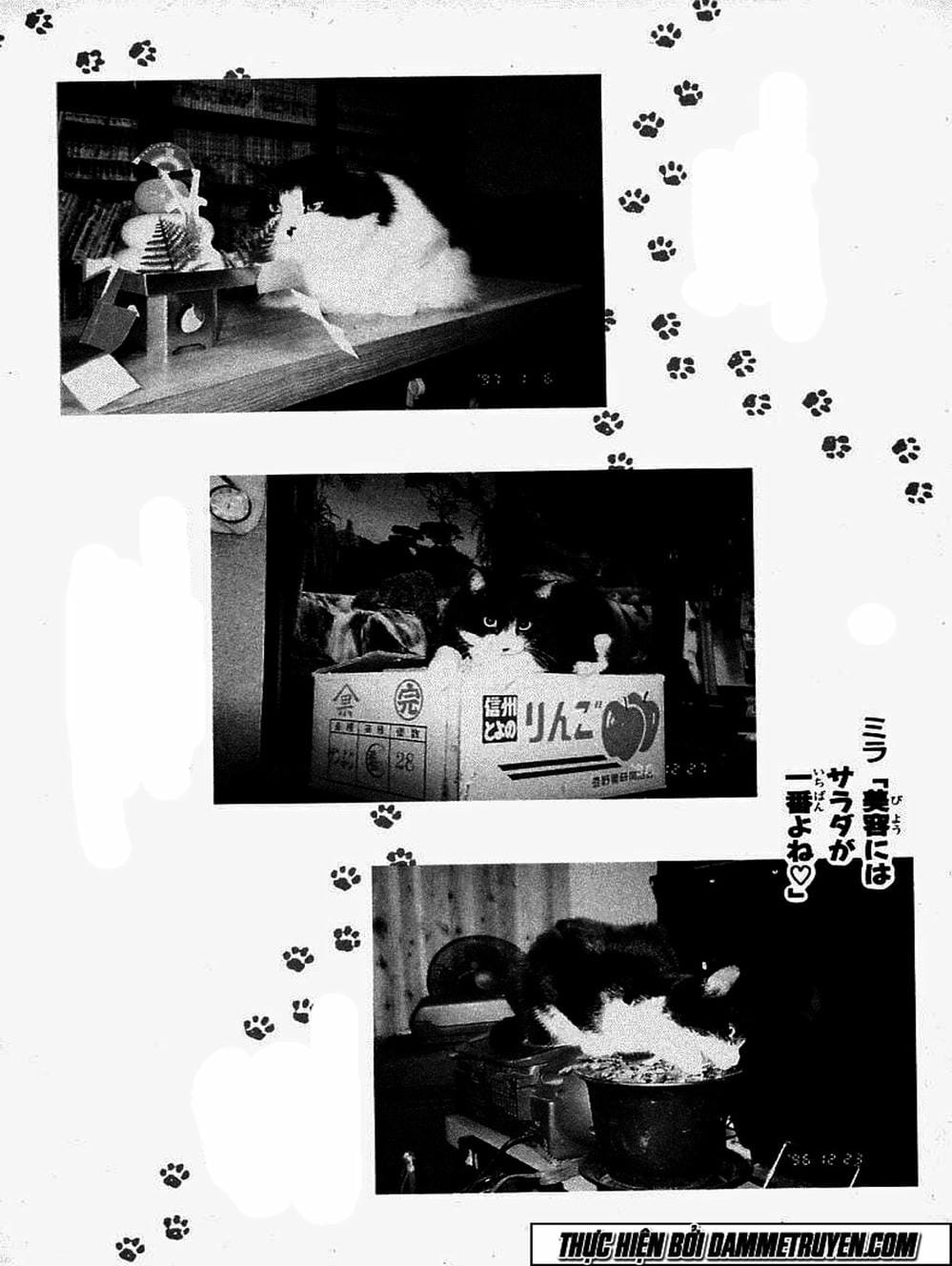 Truyện Tranh Đại Ca Đi Học Judo - Shin Kotaro Makaritoru! Juudouhen trang 5