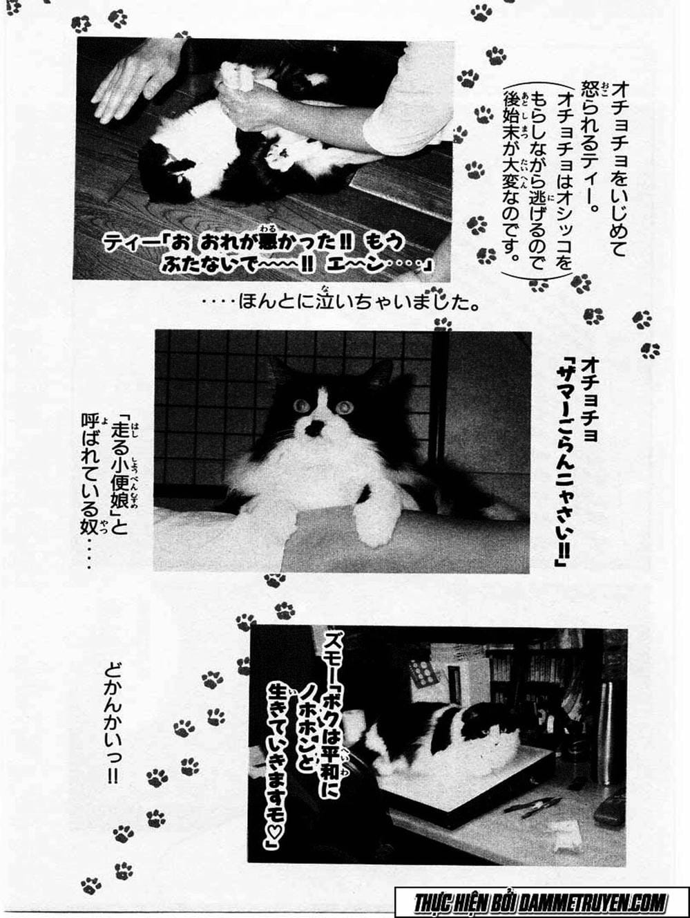 Truyện Tranh Đại Ca Đi Học Judo - Shin Kotaro Makaritoru! Juudouhen trang 5