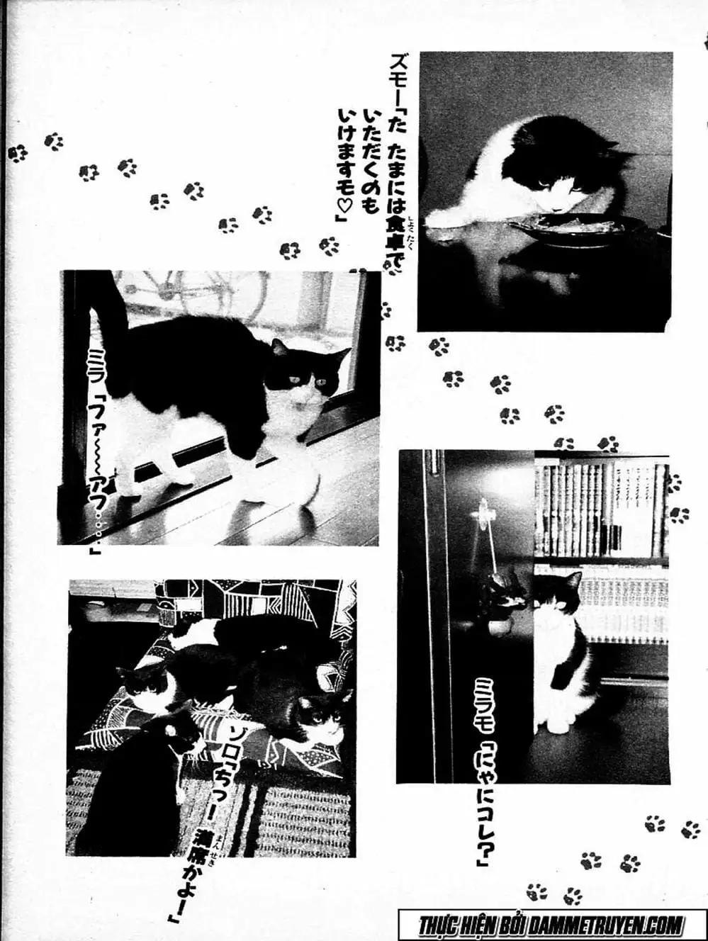 Truyện Tranh Đại Ca Đi Học Judo - Shin Kotaro Makaritoru! Juudouhen trang 5