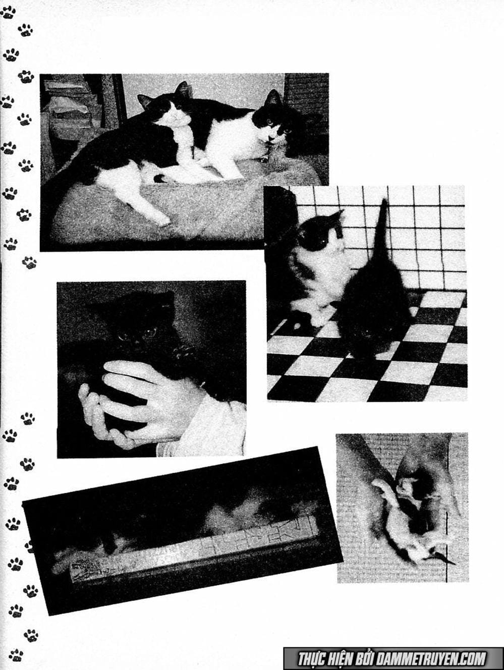 Truyện Tranh Đại Ca Đi Học Judo - Shin Kotaro Makaritoru! Juudouhen trang 5