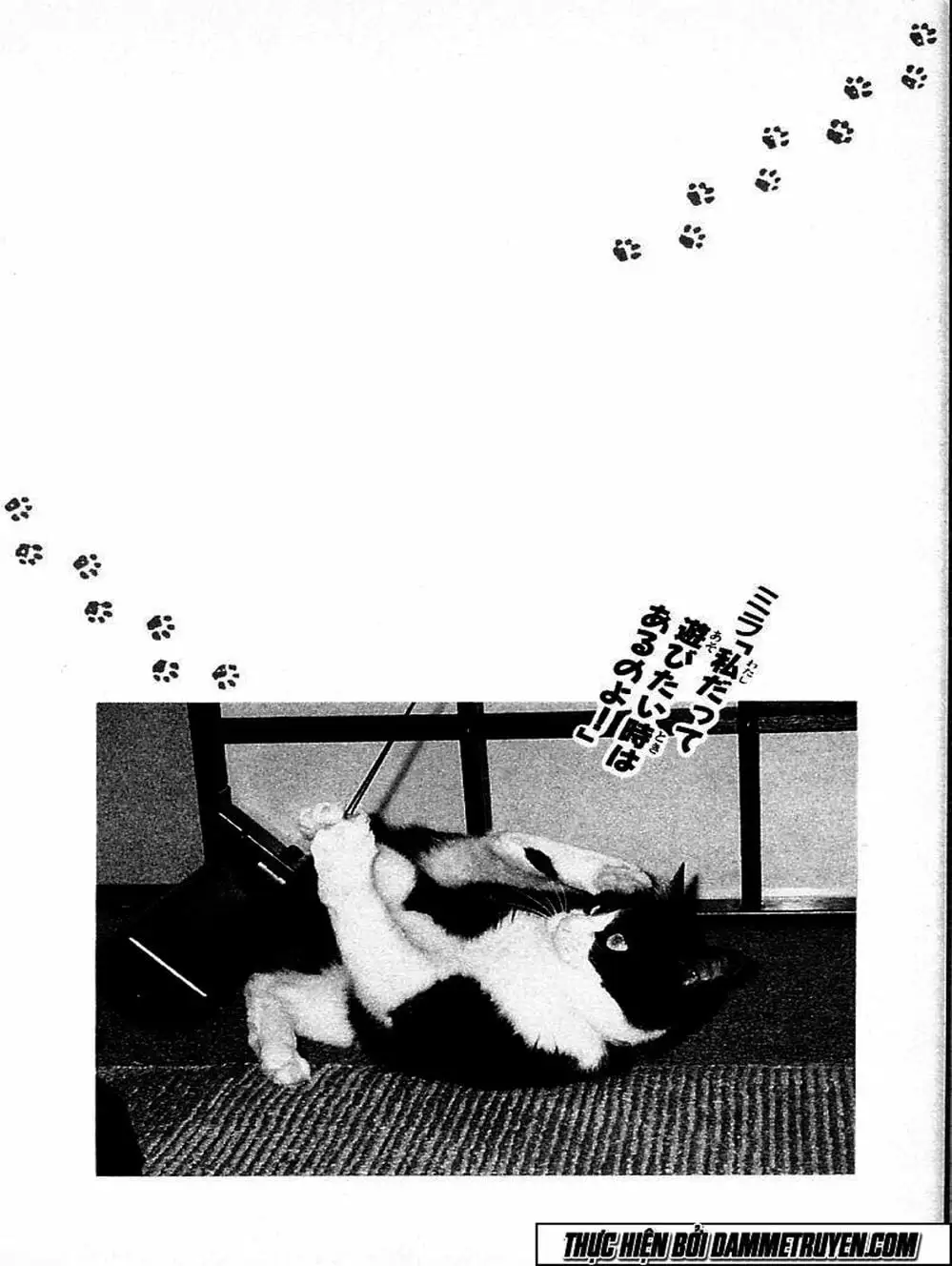 Truyện Tranh Đại Ca Đi Học Judo - Shin Kotaro Makaritoru! Juudouhen trang 5