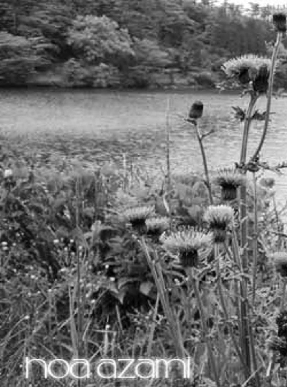 Truyện Tranh Sói Mang Con - Lone Wolf And Cub trang 5