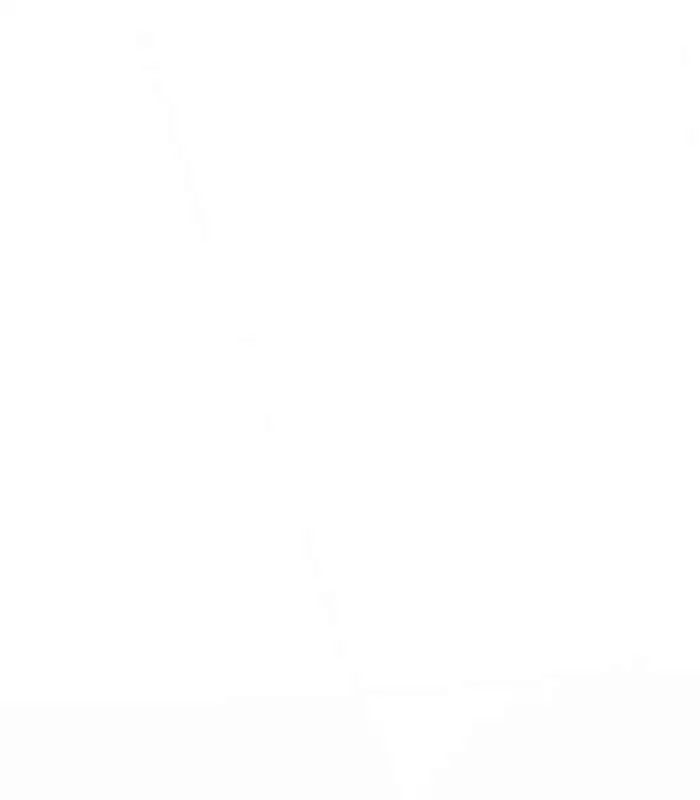 Truyện Tranh Solo Leveling Arise: Nguồn Gốc Của Thợ Săn trang 3