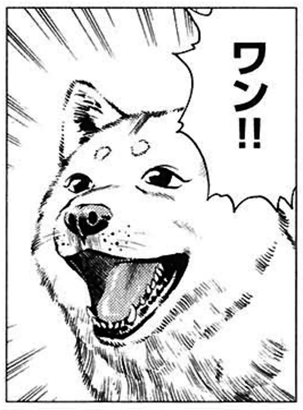 Truyện Tranh Sơn Tặc Vương Seyu - King Of Bandits trang 2