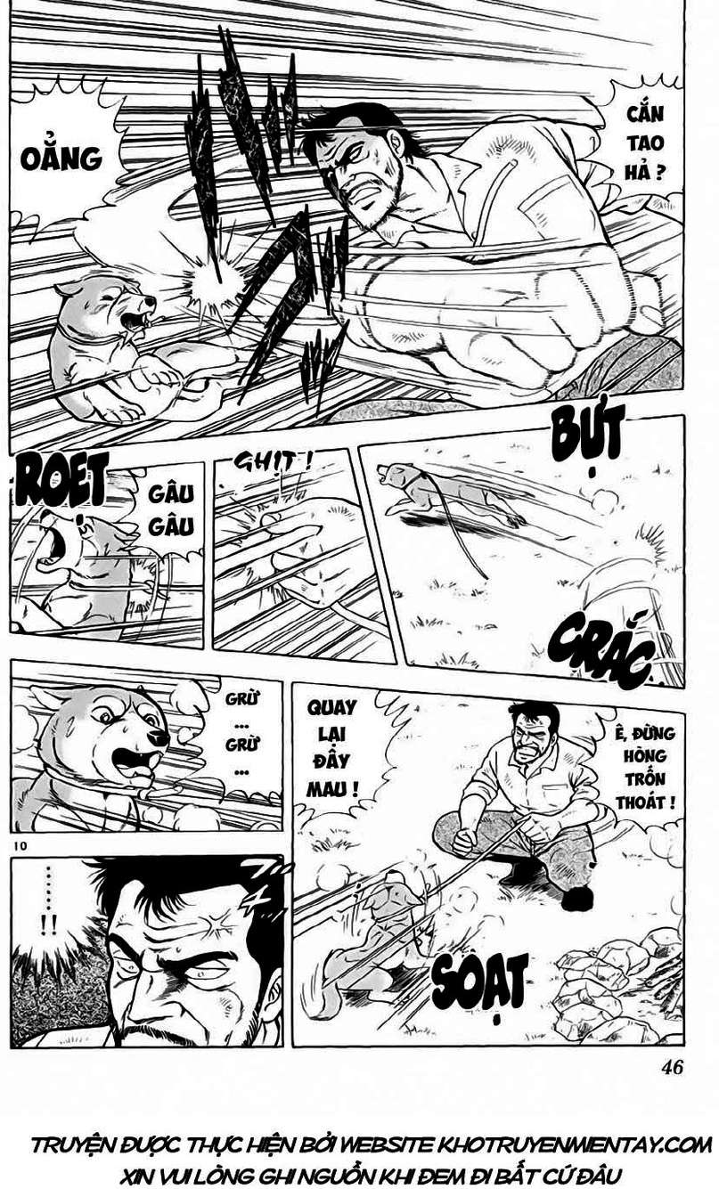 Truyện Tranh Sống Sót Trên Đảo Hoang - Survival In The Solitary Island trang 3