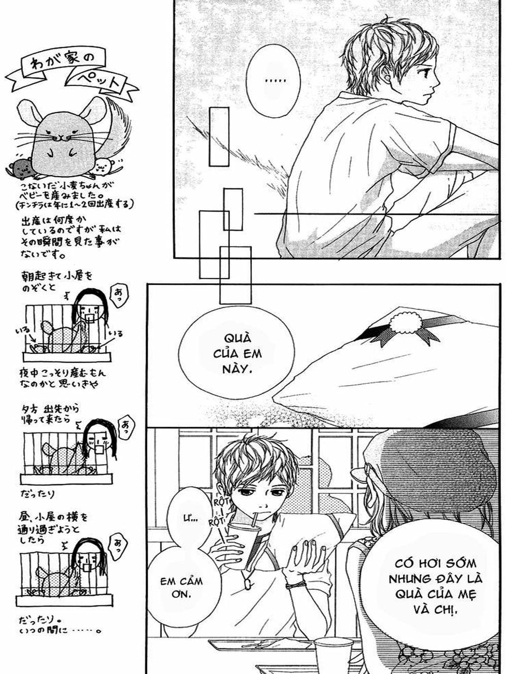 Truyện Tranh Tình Yêu Lấp Lánh - Strobe Edge trang 5