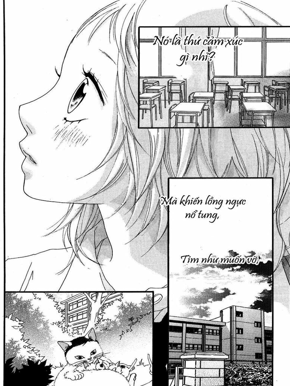 Truyện Tranh Tình Yêu Lấp Lánh - Strobe Edge trang 5