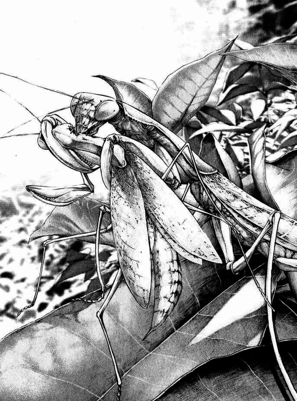 Truyện Tranh Người Cô Đơn - The Climber trang 7