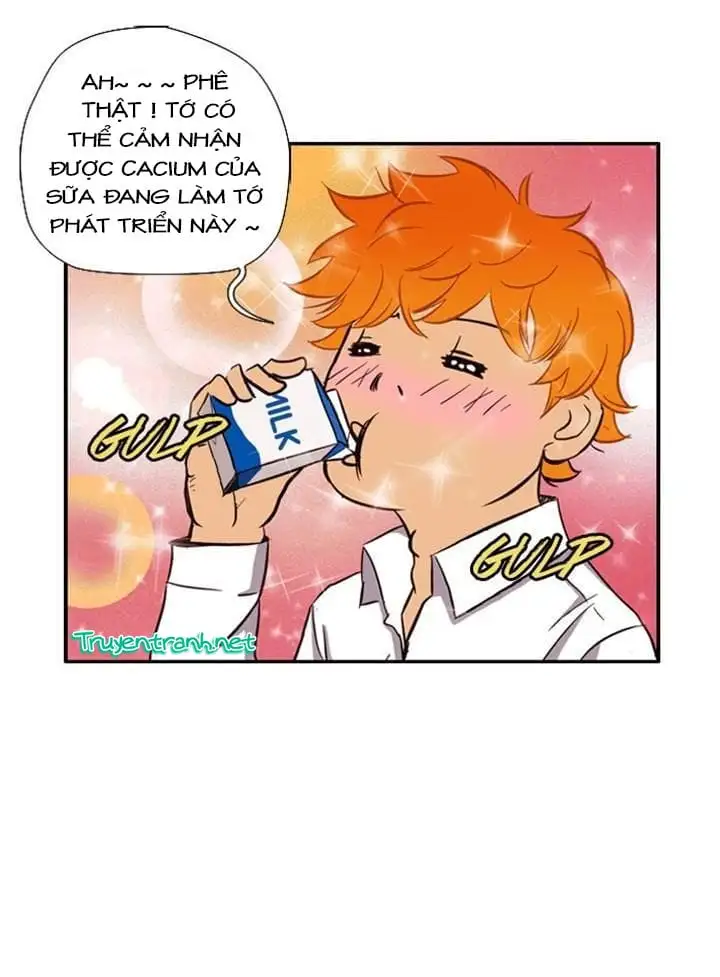 Truyện Tranh Thể Thao Cực Hạn - Wind Breaker trang 7