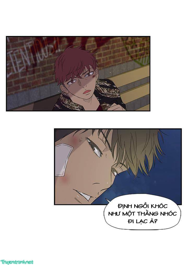 Truyện Tranh Thể Thao Cực Hạn - Wind Breaker trang 7