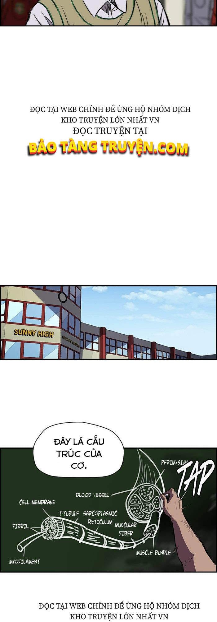 Truyện Tranh Thể Thao Cực Hạn - Wind Breaker trang 7