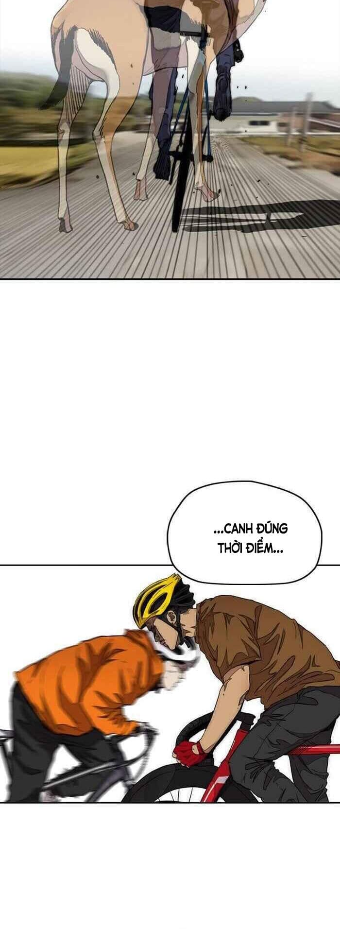 Truyện Tranh Thể Thao Cực Hạn - Wind Breaker trang 7