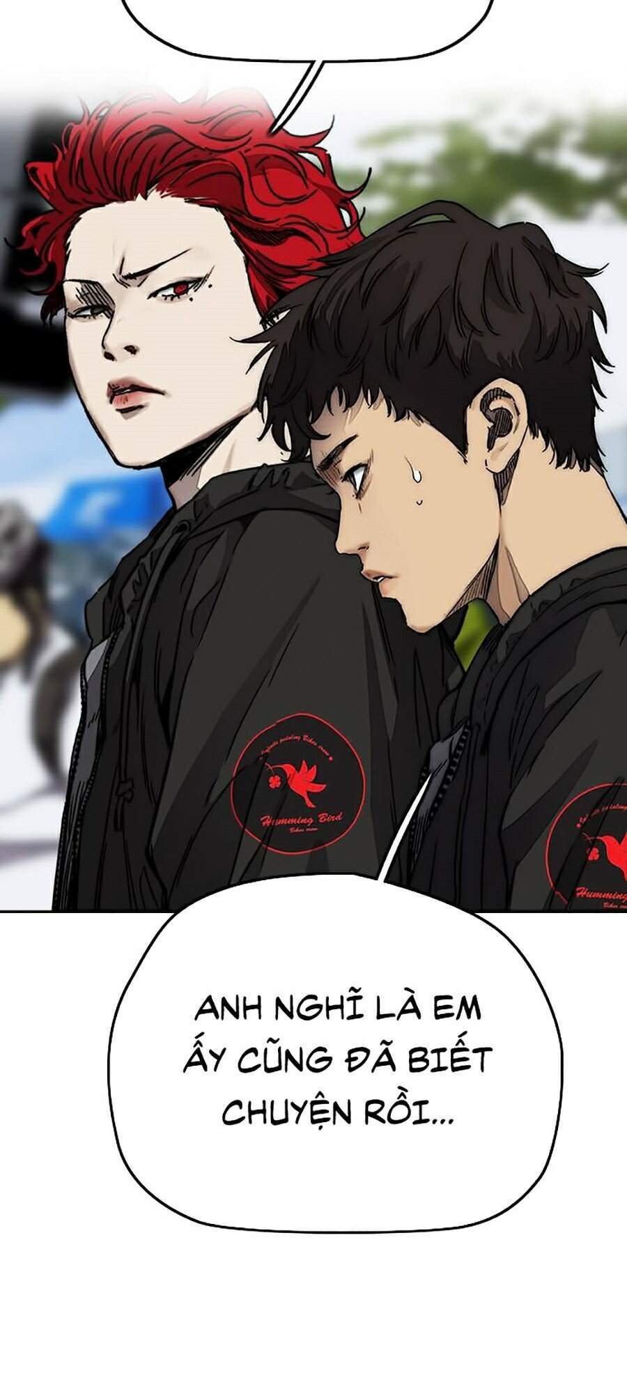 Truyện Tranh Thể Thao Cực Hạn - Wind Breaker trang 7