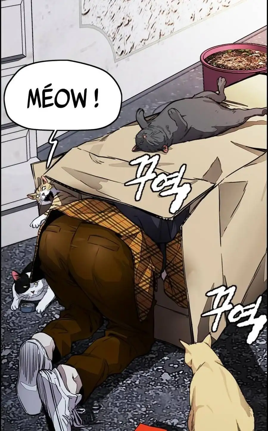 Truyện Tranh Thể Thao Cực Hạn - Wind Breaker trang 7