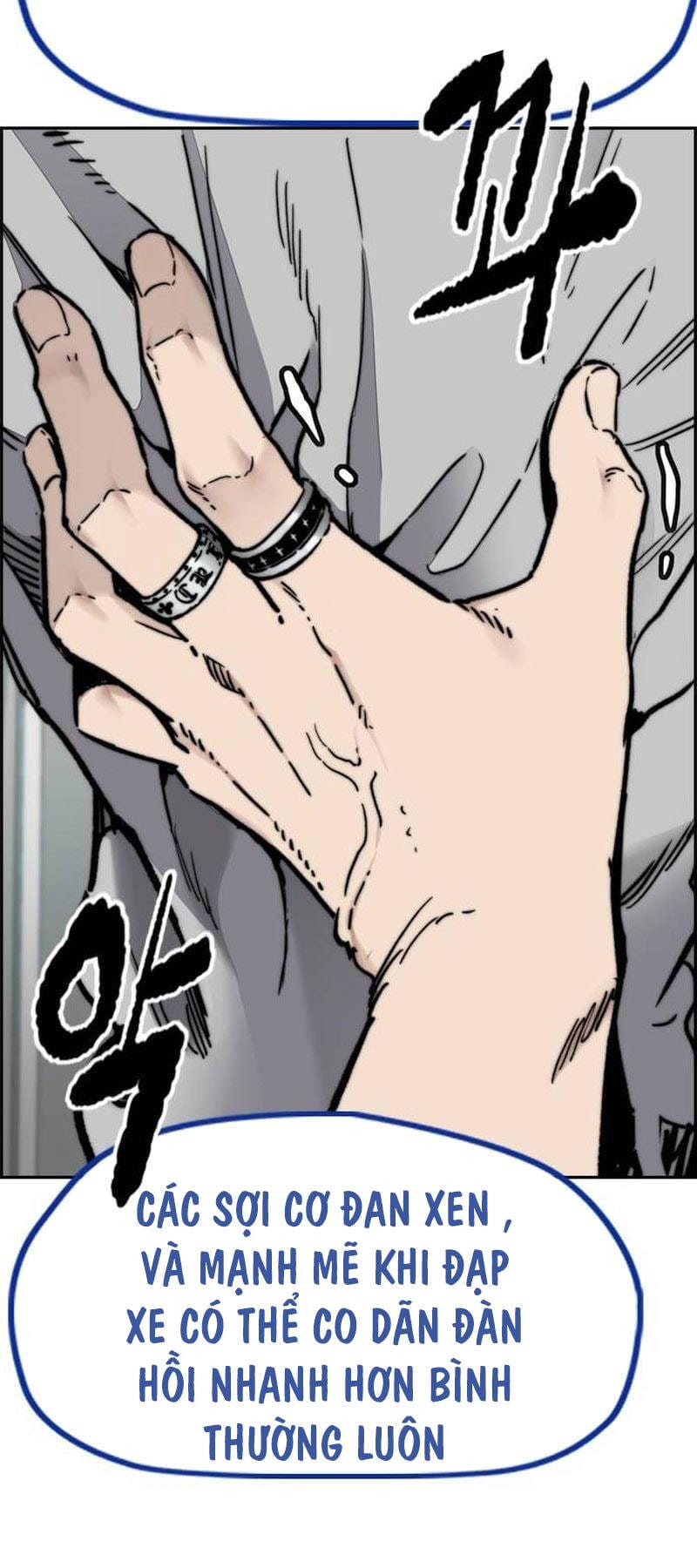 Truyện Tranh Thể Thao Cực Hạn - Wind Breaker trang 7