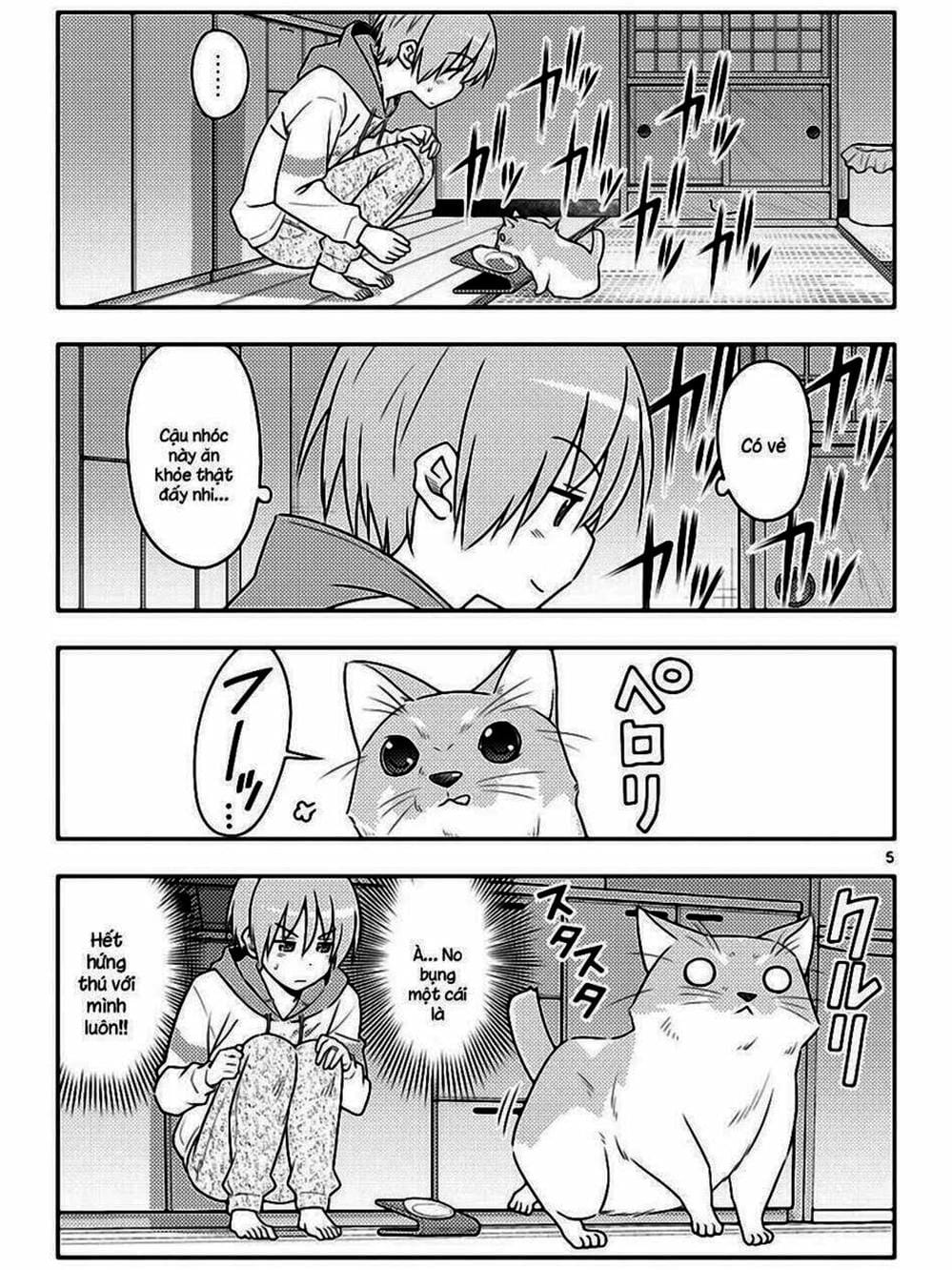 Truyện Tranh Tóm Lại Là Em Rất Dễ Thương - Tonikaku Kawaii trang 6