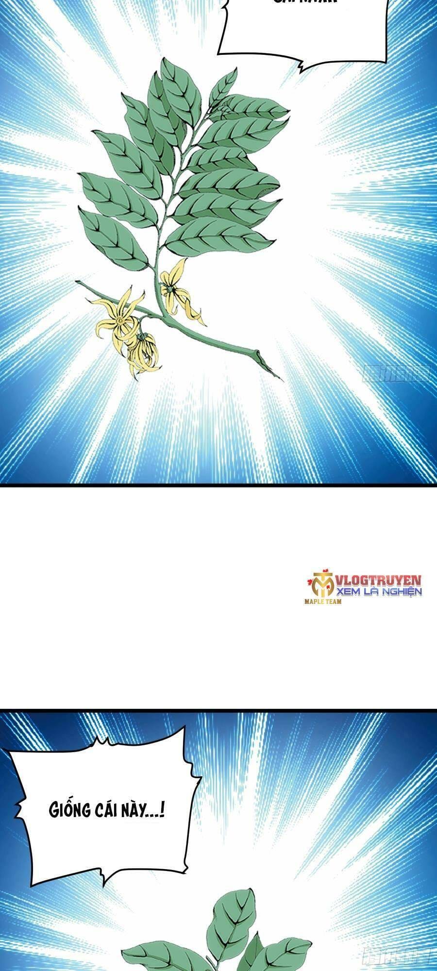 Truyện Tranh Tự Kỷ Luật Ta Đây Bất Khả Chiến Bại trang 6