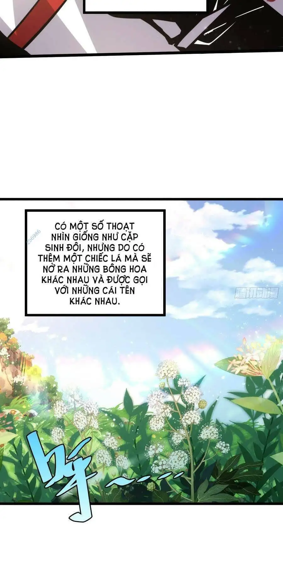 Truyện Tranh Tự Kỷ Luật Ta Đây Bất Khả Chiến Bại trang 6