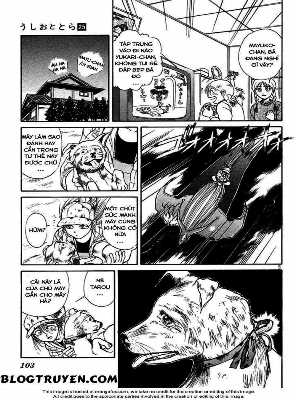 Truyện Tranh Cậu Bé Thần Giáo - Ushio And Tora trang 5