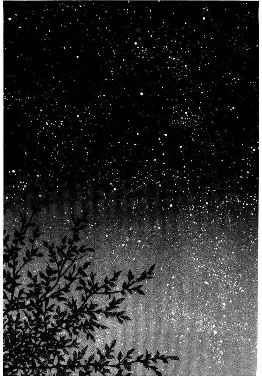 Truyện Tranh Lãng Khách - Vagabond trang 4