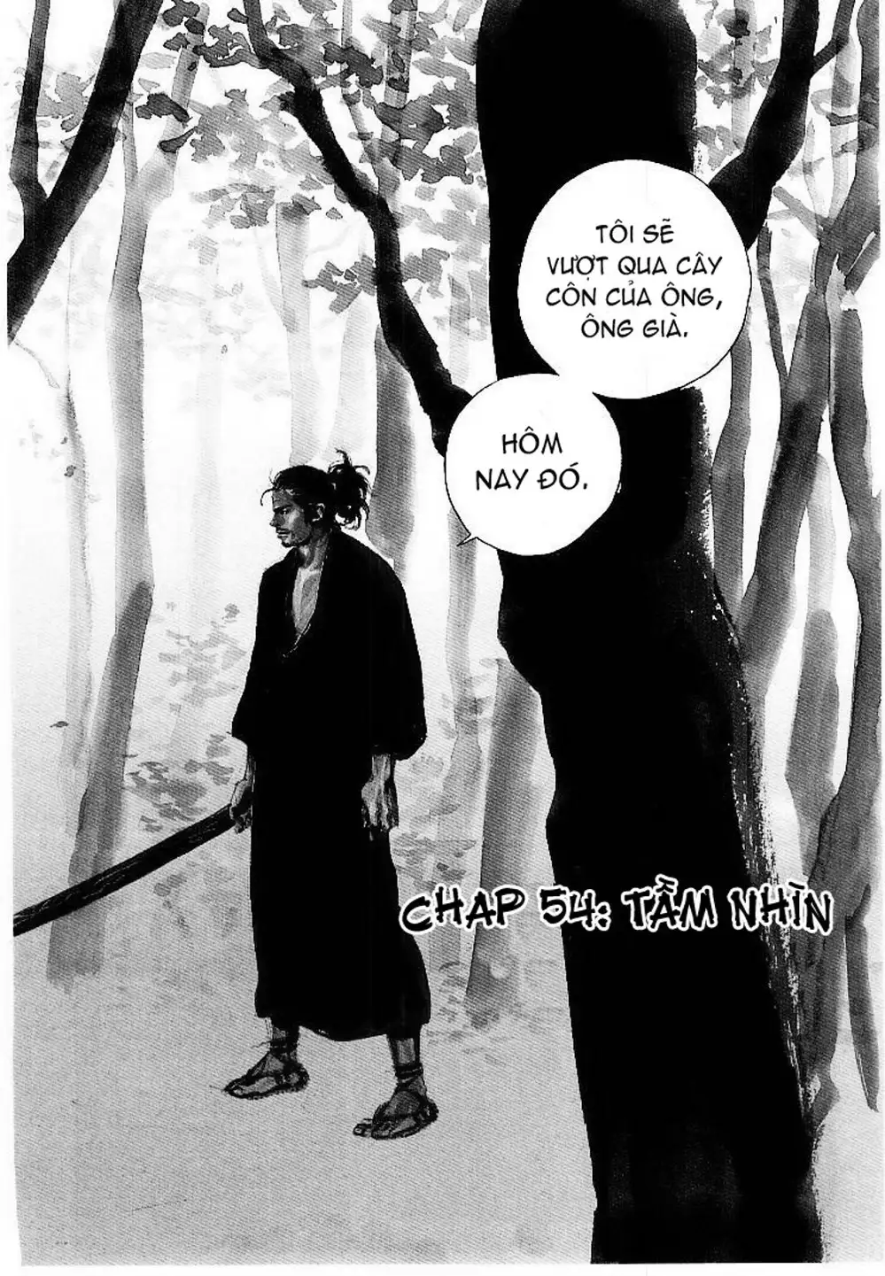 Truyện Tranh Lãng Khách - Vagabond trang 4