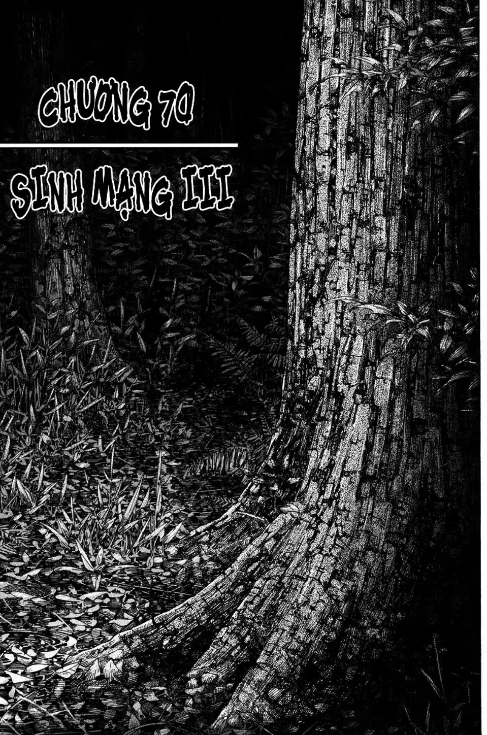 Truyện Tranh Lãng Khách - Vagabond trang 4