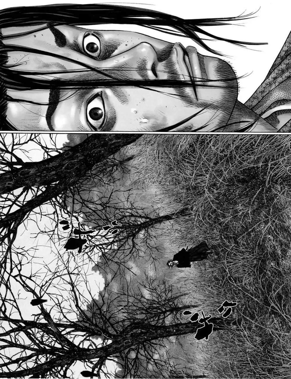 Truyện Tranh Lãng Khách - Vagabond trang 4