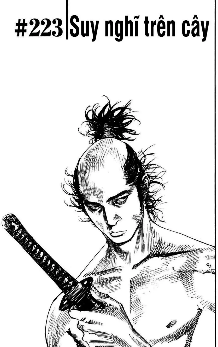 Truyện Tranh Lãng Khách - Vagabond trang 4