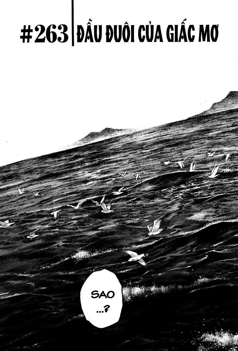 Truyện Tranh Lãng Khách - Vagabond trang 4