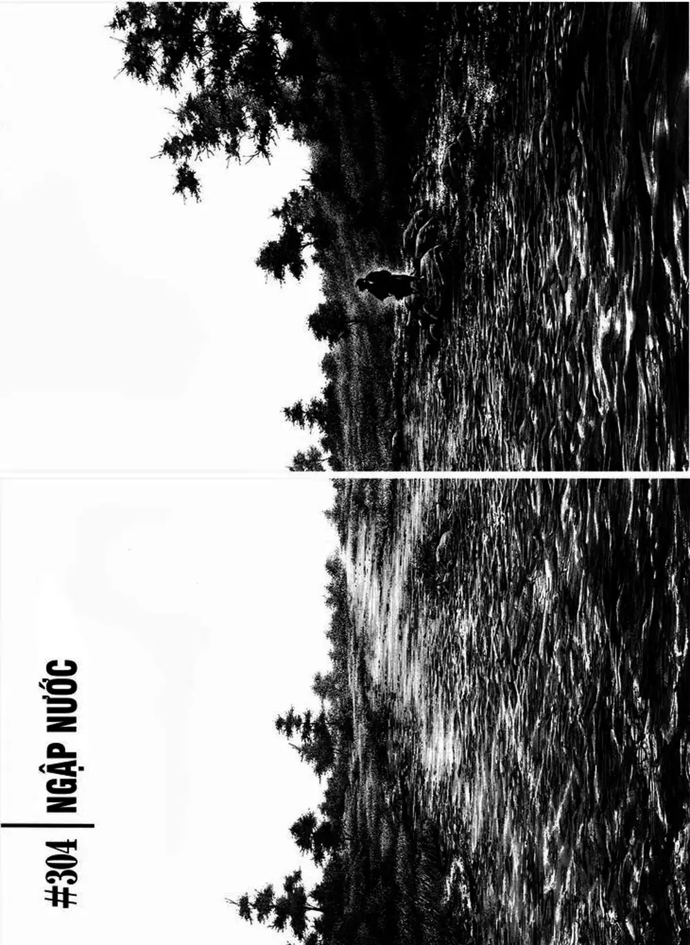 Truyện Tranh Lãng Khách - Vagabond trang 4