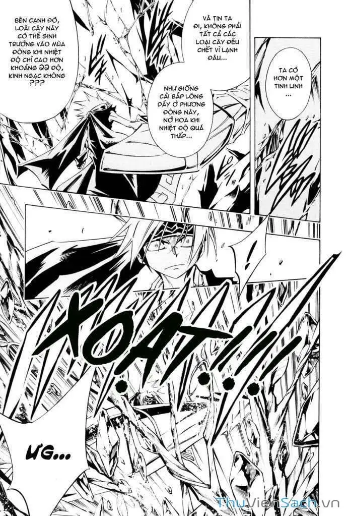 Truyện Tranh Vua Pháp Thuật - Shaman King trang 5