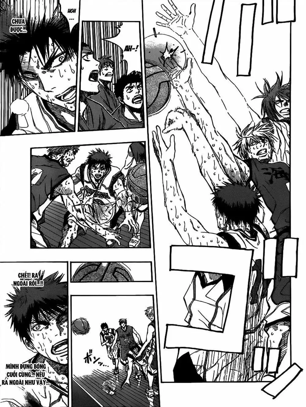 Truyện Tranh Vua Bóng Rổ - Kuroko’s Basketball trang 3