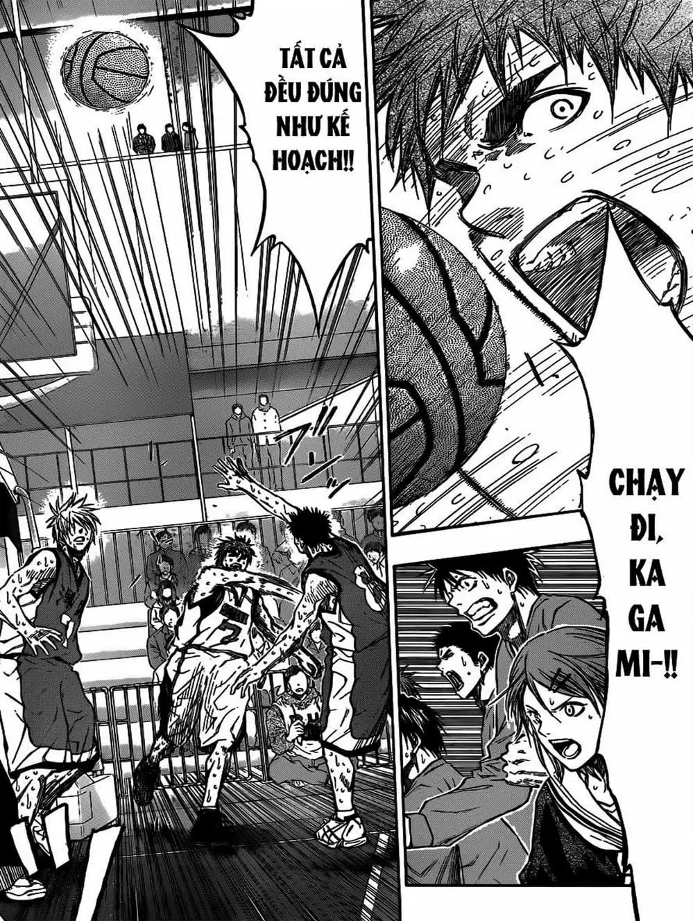Truyện Tranh Vua Bóng Rổ - Kuroko’s Basketball trang 3