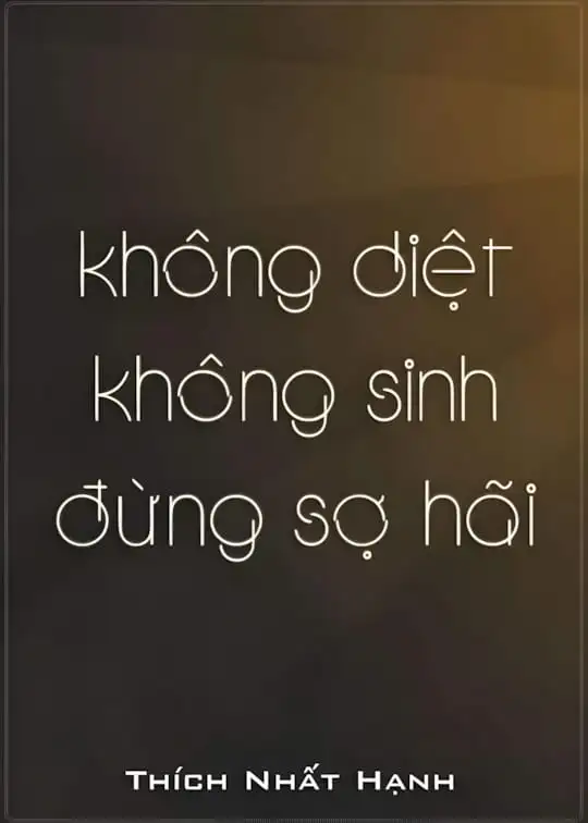 Ảnh bìa sách Không Diệt Không Sinh Đừng Sợ Hãi