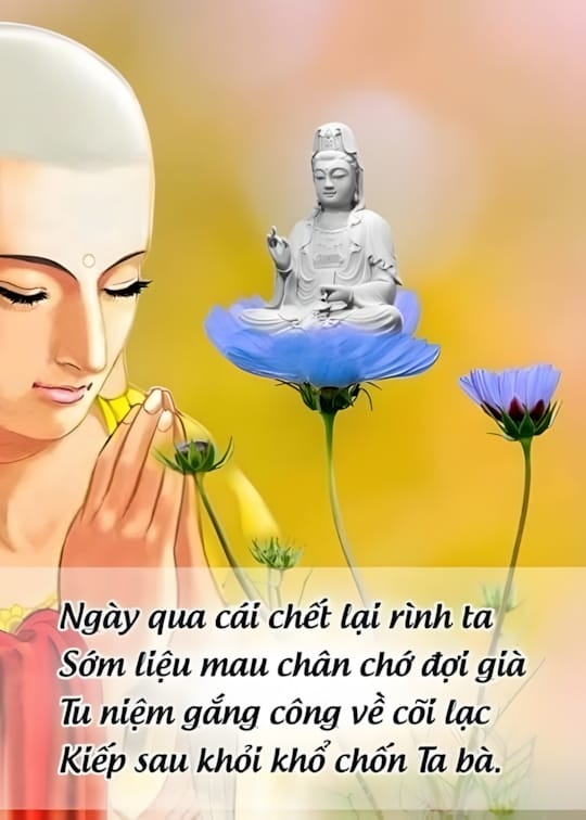 Ảnh bìa sách Thời Khóa Tu Tập Thời Đức Phật