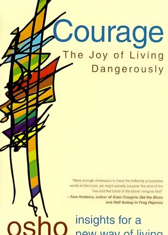 Ảnh bìa sách Dũng Cảm - Vui Sống Hiểm Nguy