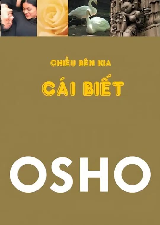 Ảnh bìa sách Chiều Bên Kia Cái Biết