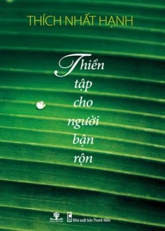 Ảnh Thiền Tập Cho Người Bận Rộn