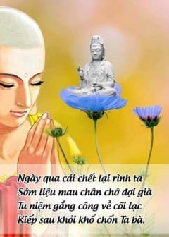 Ảnh Thời Khóa Tu Tập Thời Đức Phật