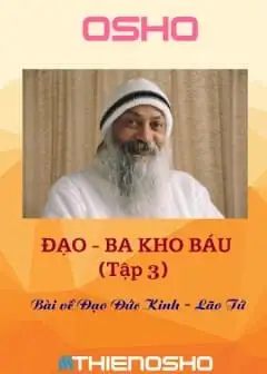 Ảnh Đạo Ba Kho Báu - Tập 3