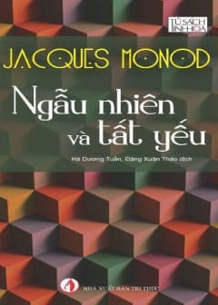 Ảnh Ngẫu Nhiên Và Tất Yếu