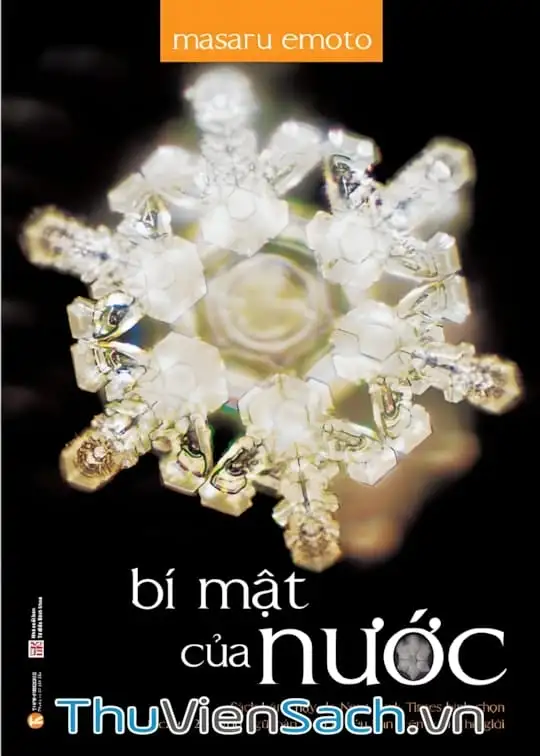 Ảnh bìa sách Bí Mật Của Nước