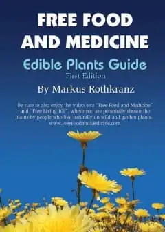 Ảnh Cây Ăn Được Và Cây Thuốc