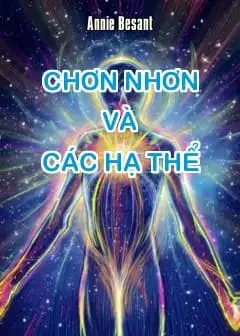 Ảnh Chơn Nhơn Và Các Hạ Thể