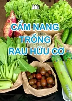 Ảnh Cẩm Nang Trồng Rau Hữu Cơ